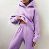 Casual Solid Color 2 Piece Hooded Sweatsuits